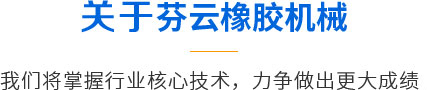 青岛EVO视讯橡胶机械